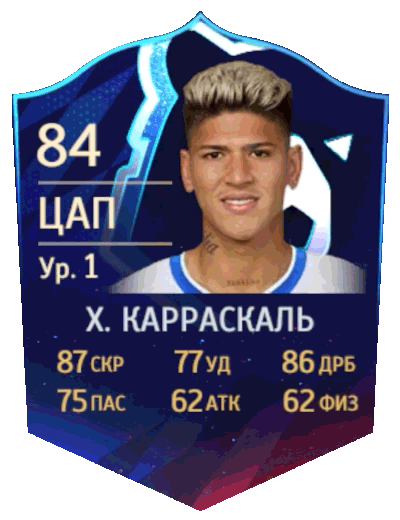 Player Card
