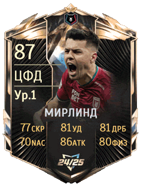 Player Card