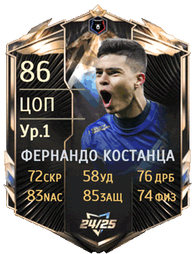 Player Card