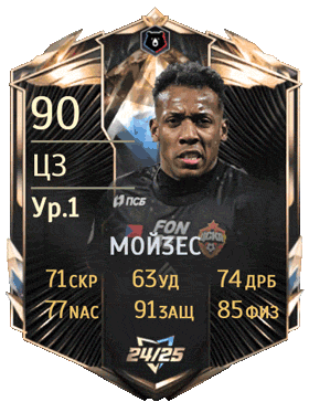 Player Card